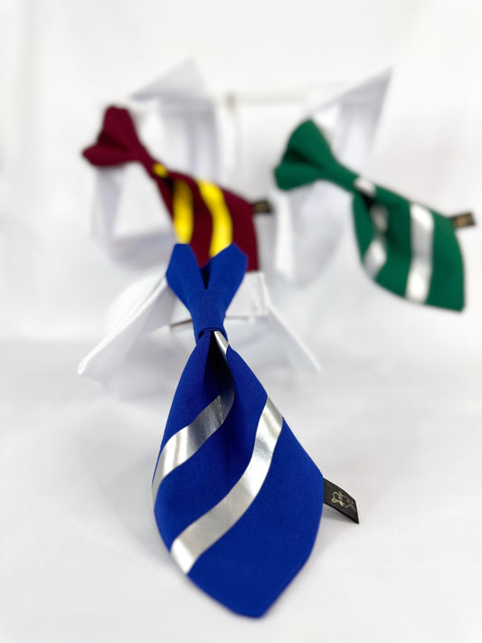 House Neckpiece and tie (Cuello con corbata)