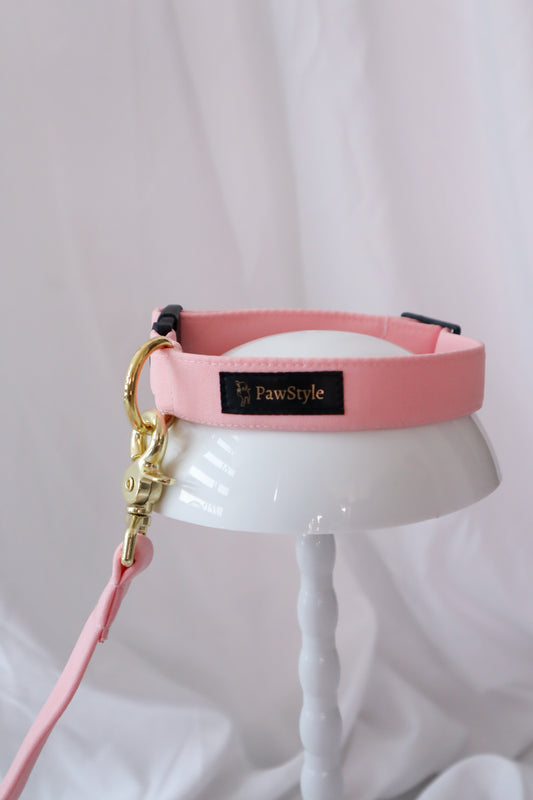 Light Pink Collar