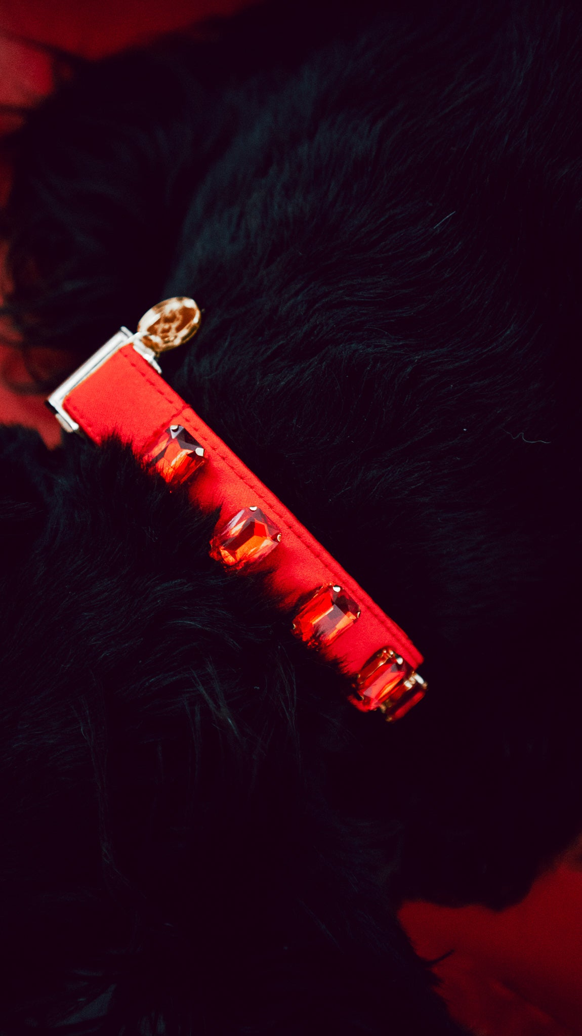 Swarovski Collars