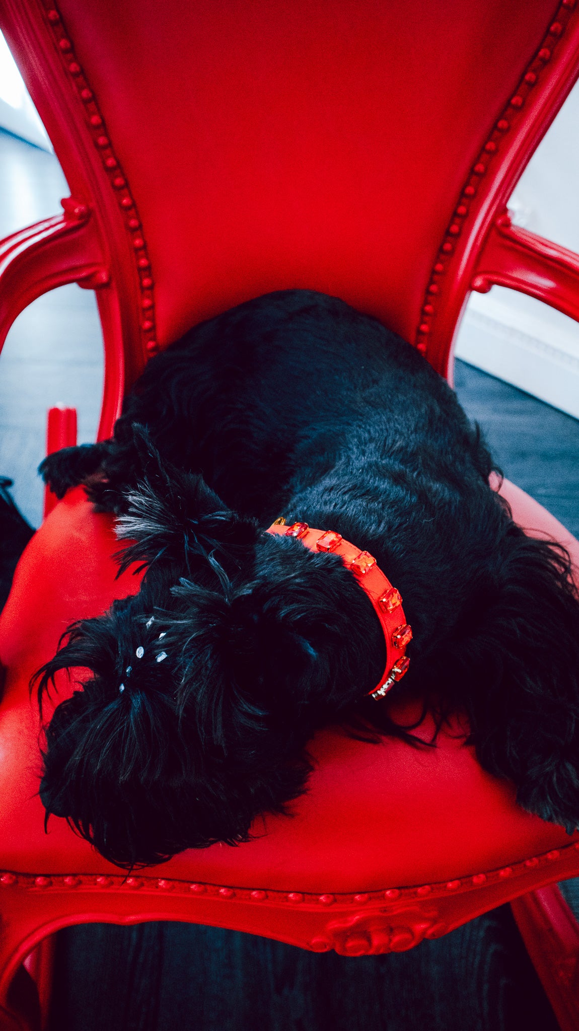 Swarovski Collars