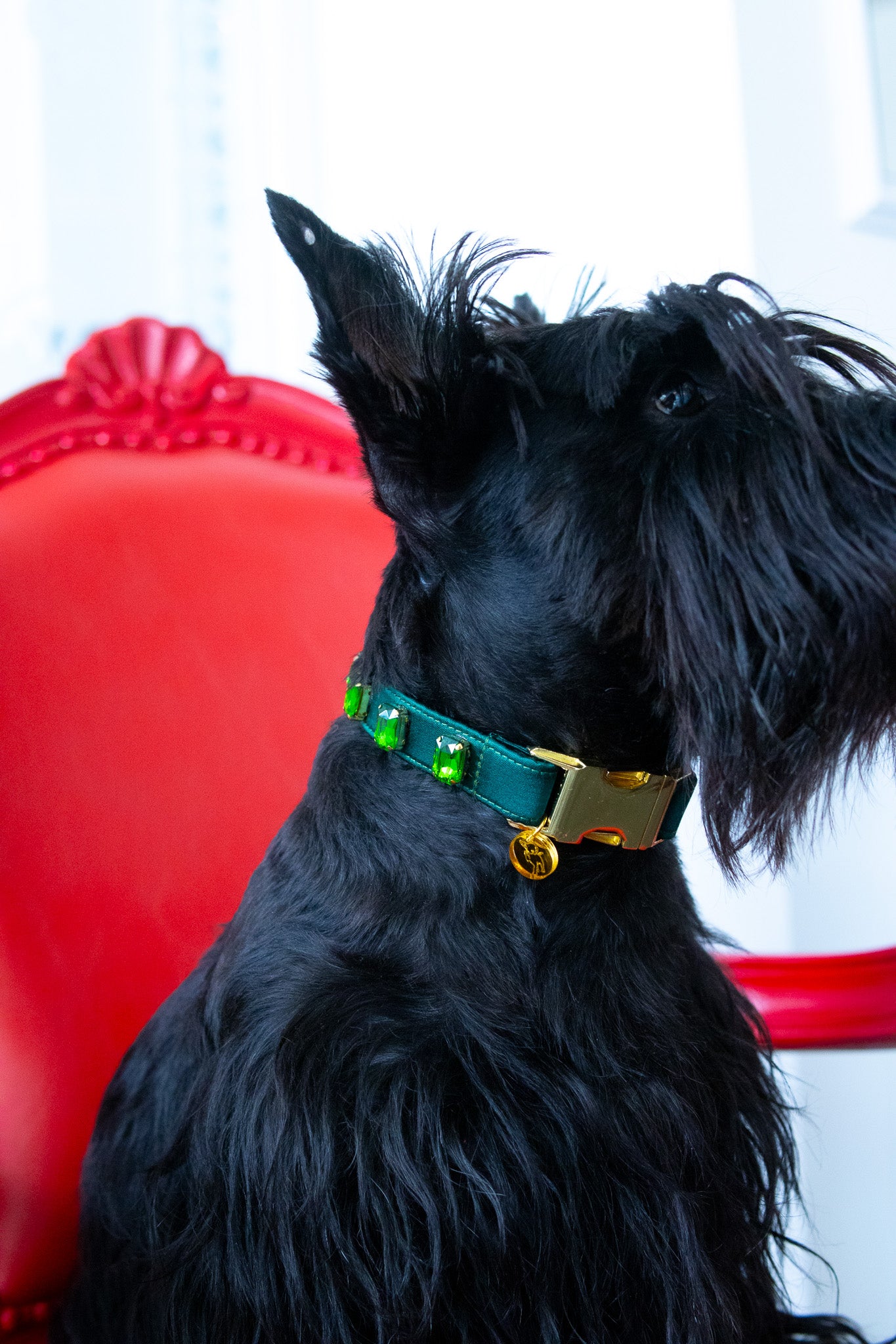 Swarovski Collars