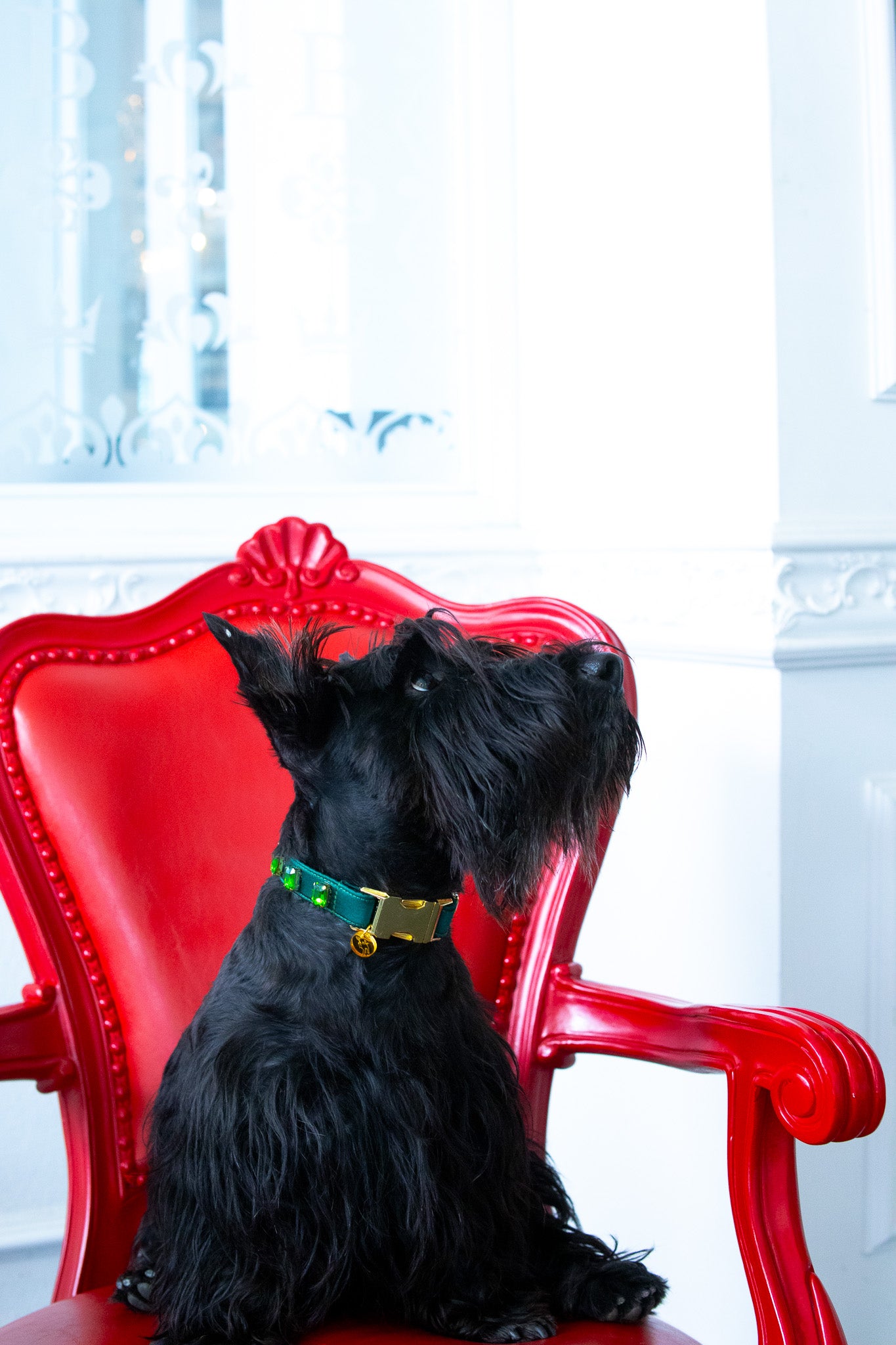 Swarovski Collars