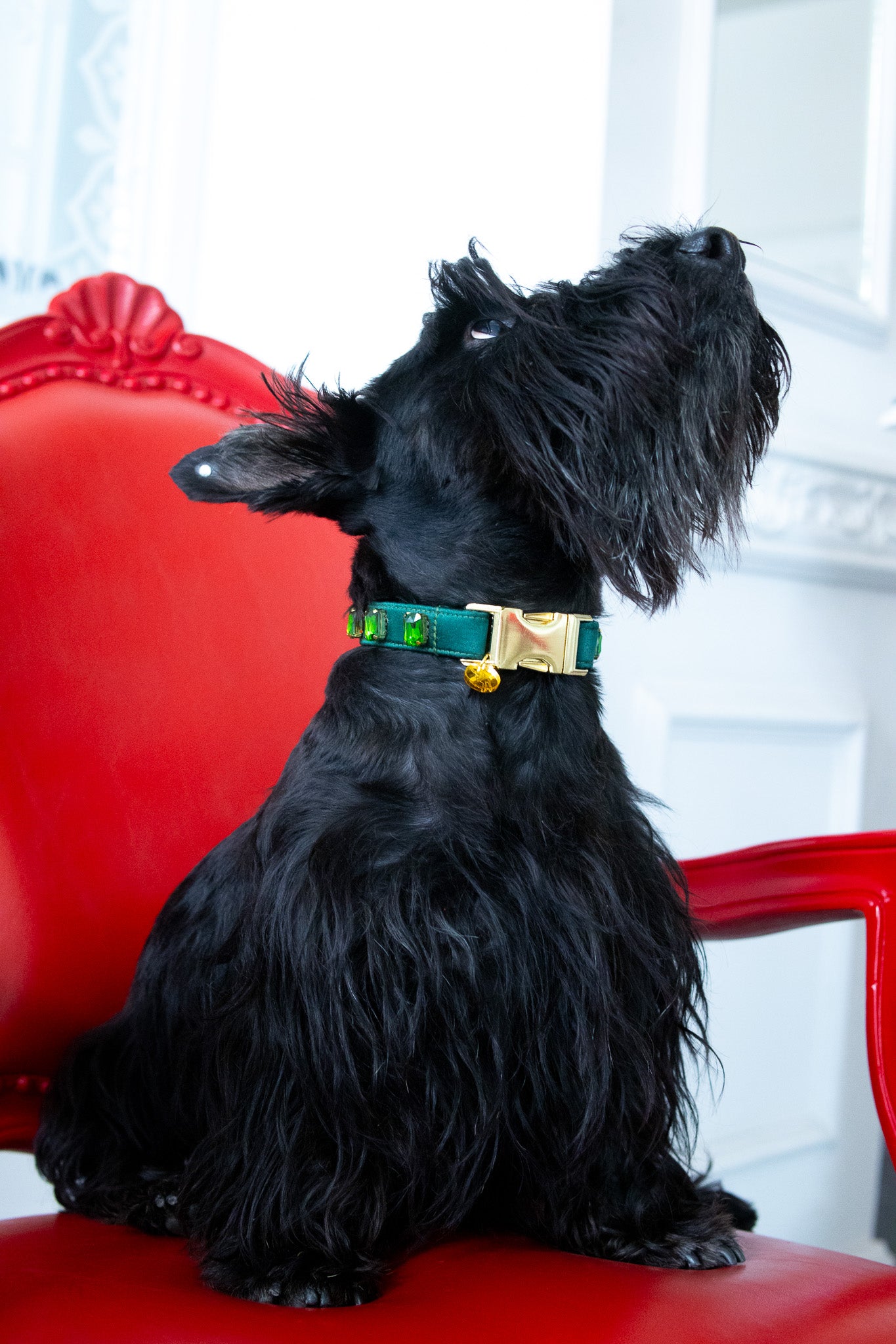 Swarovski Collars