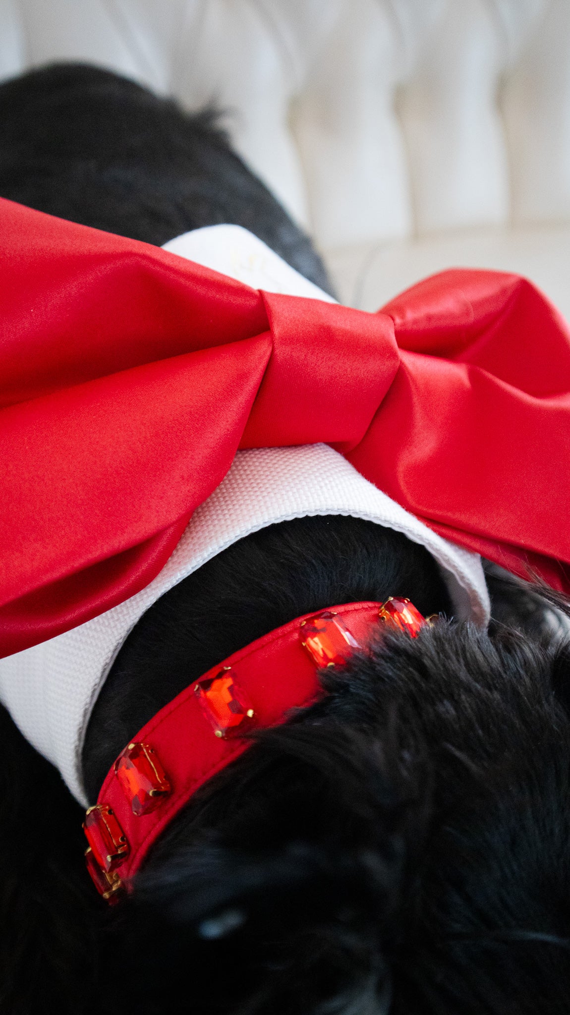 Swarovski Collars