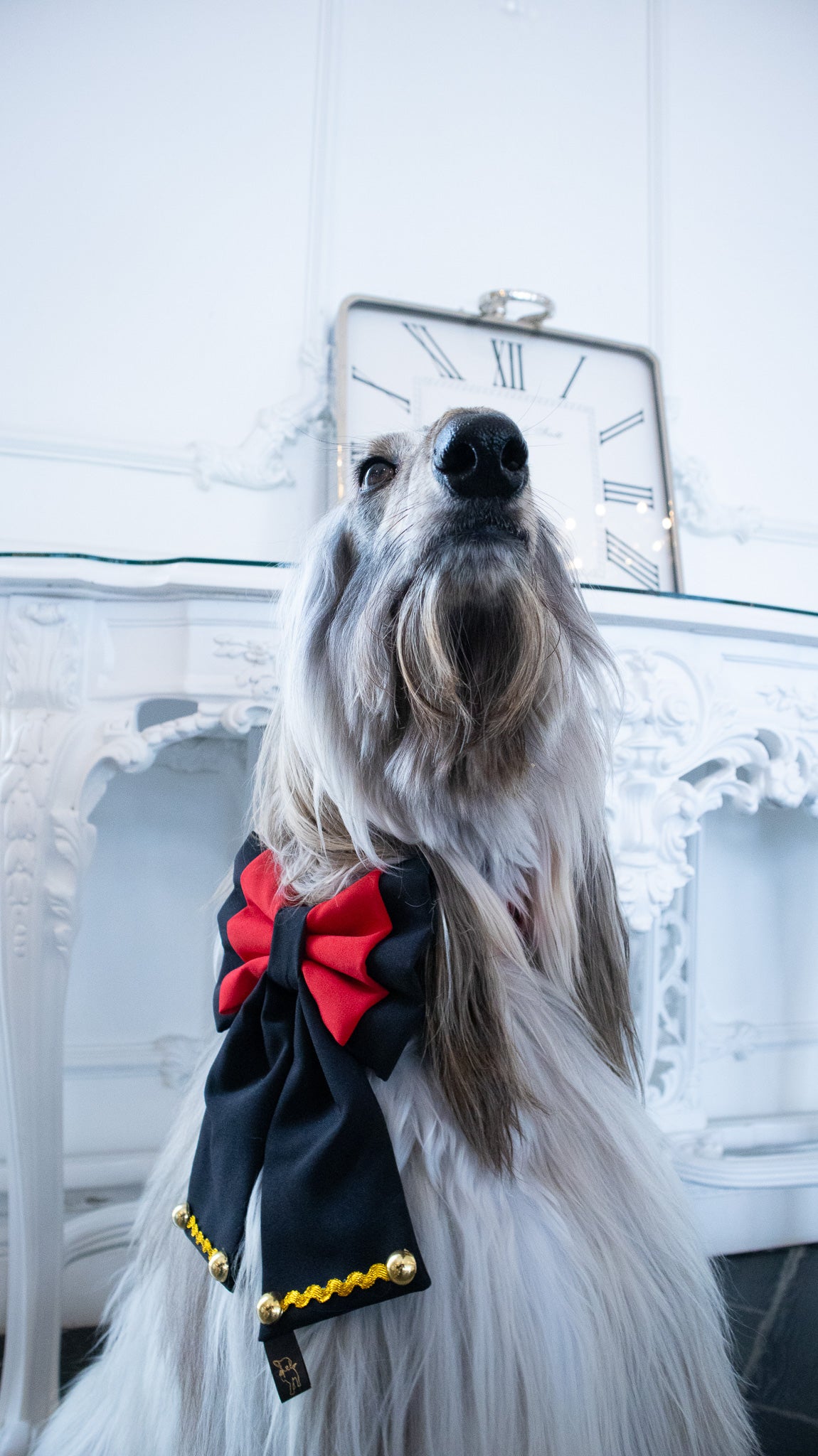 Nutcracker Bandana and Sailor Bow Bundle