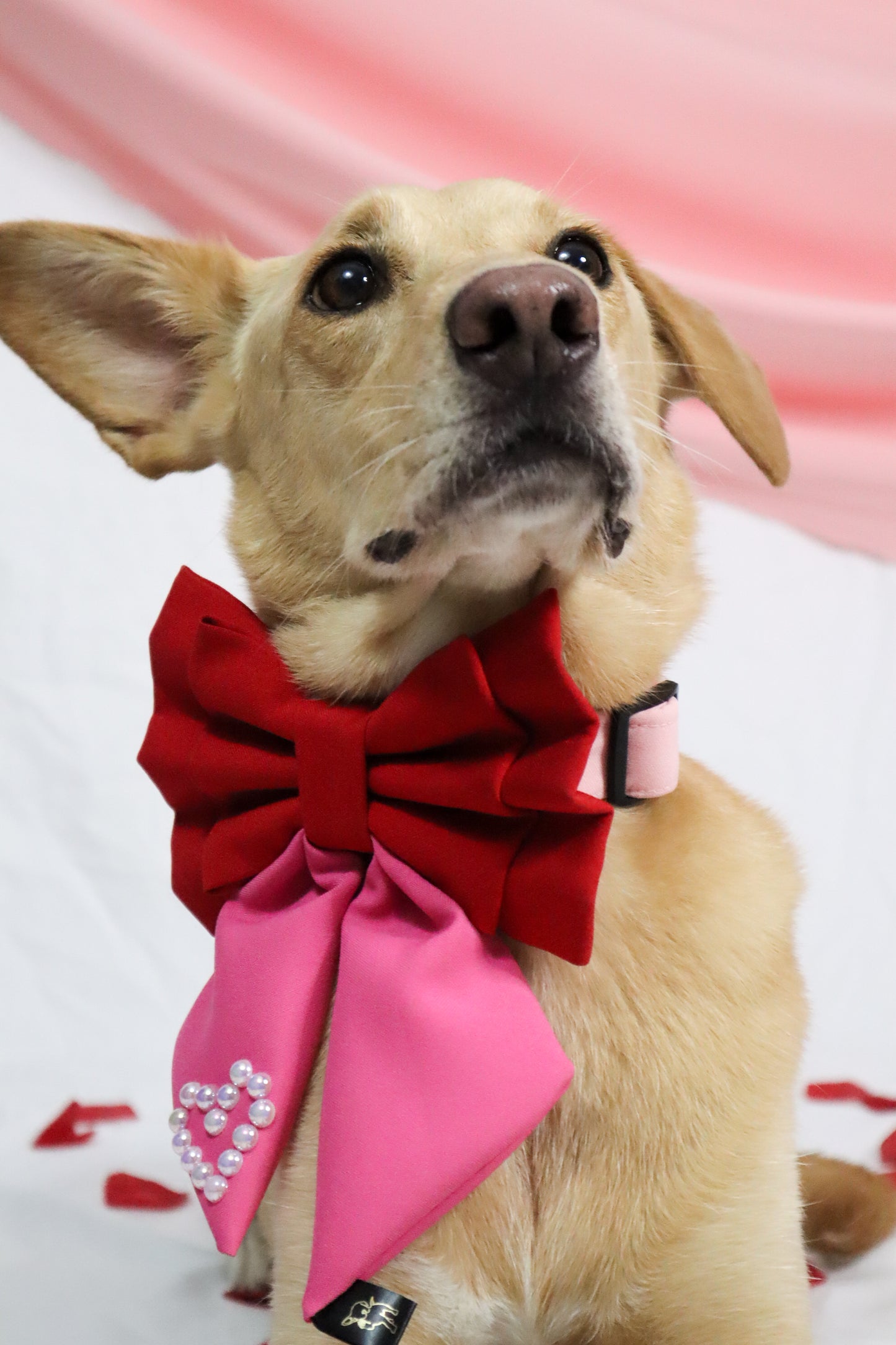 XO IN LOVE Sailor Bow