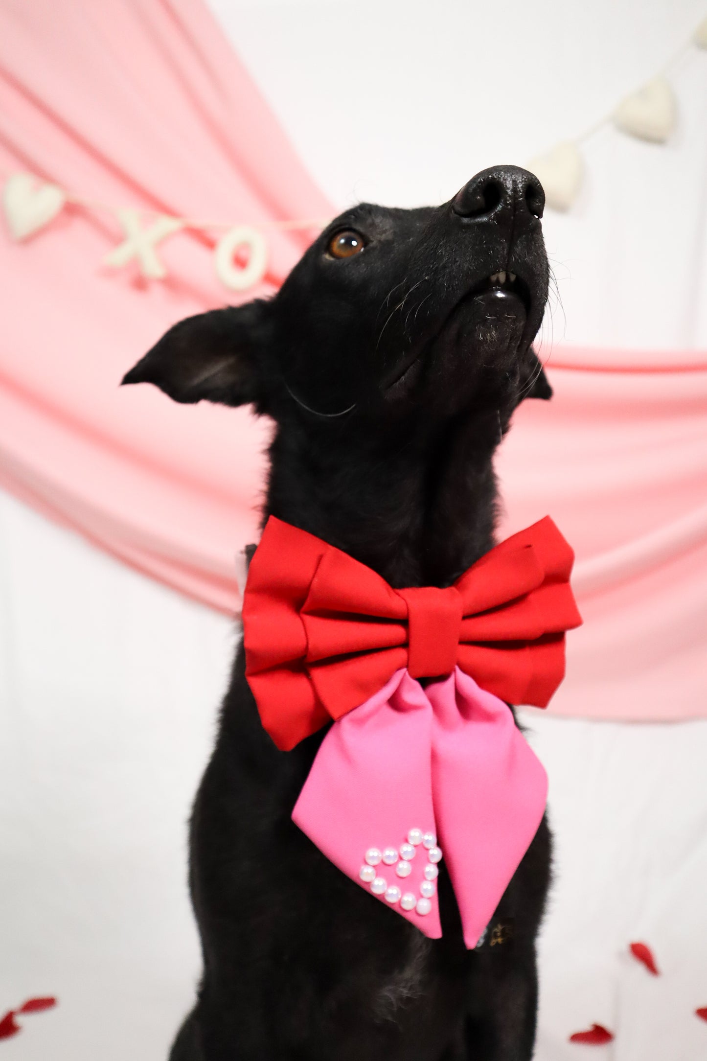XO IN LOVE Sailor Bow