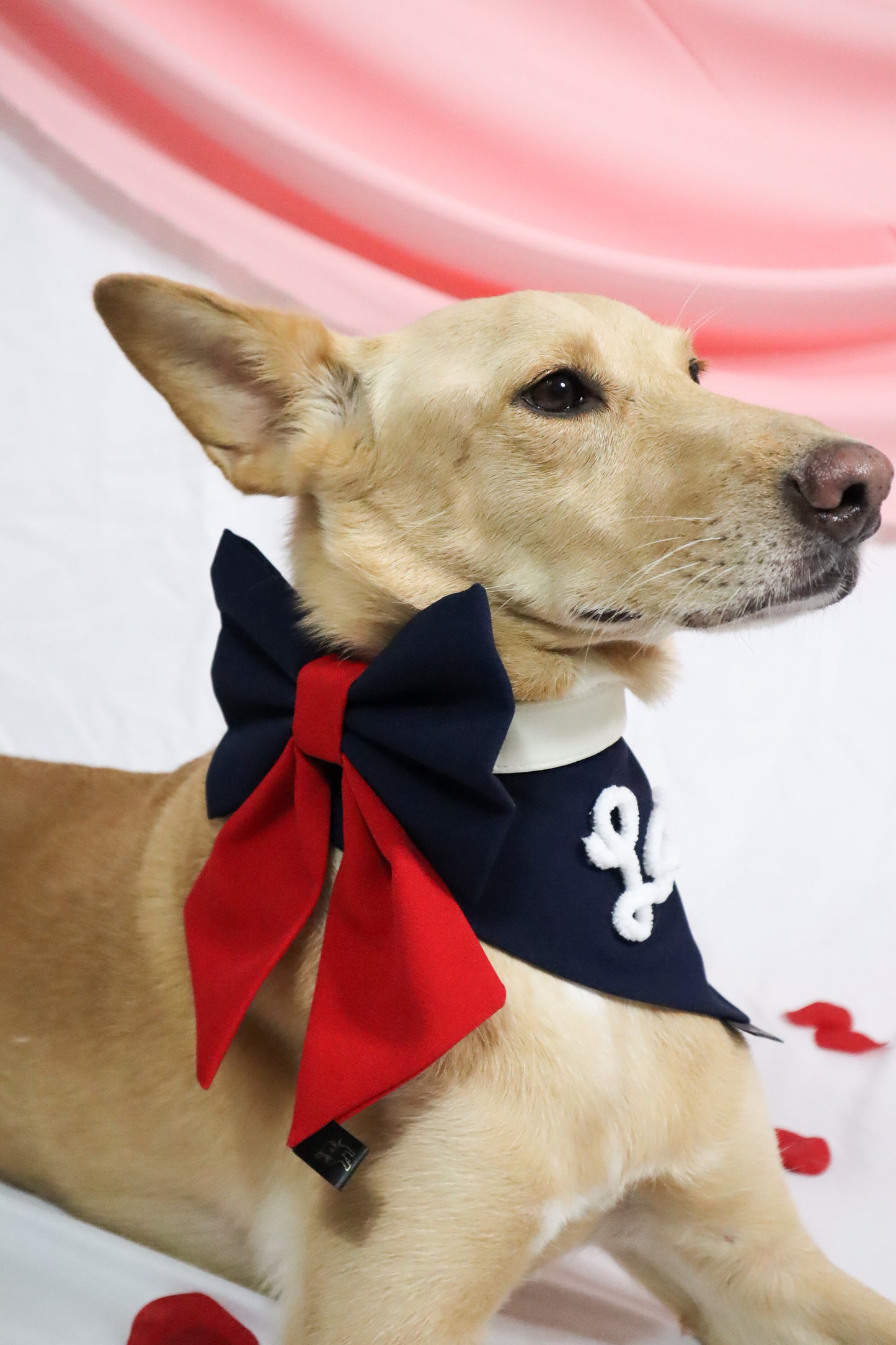 Navy Red Sailor Bow