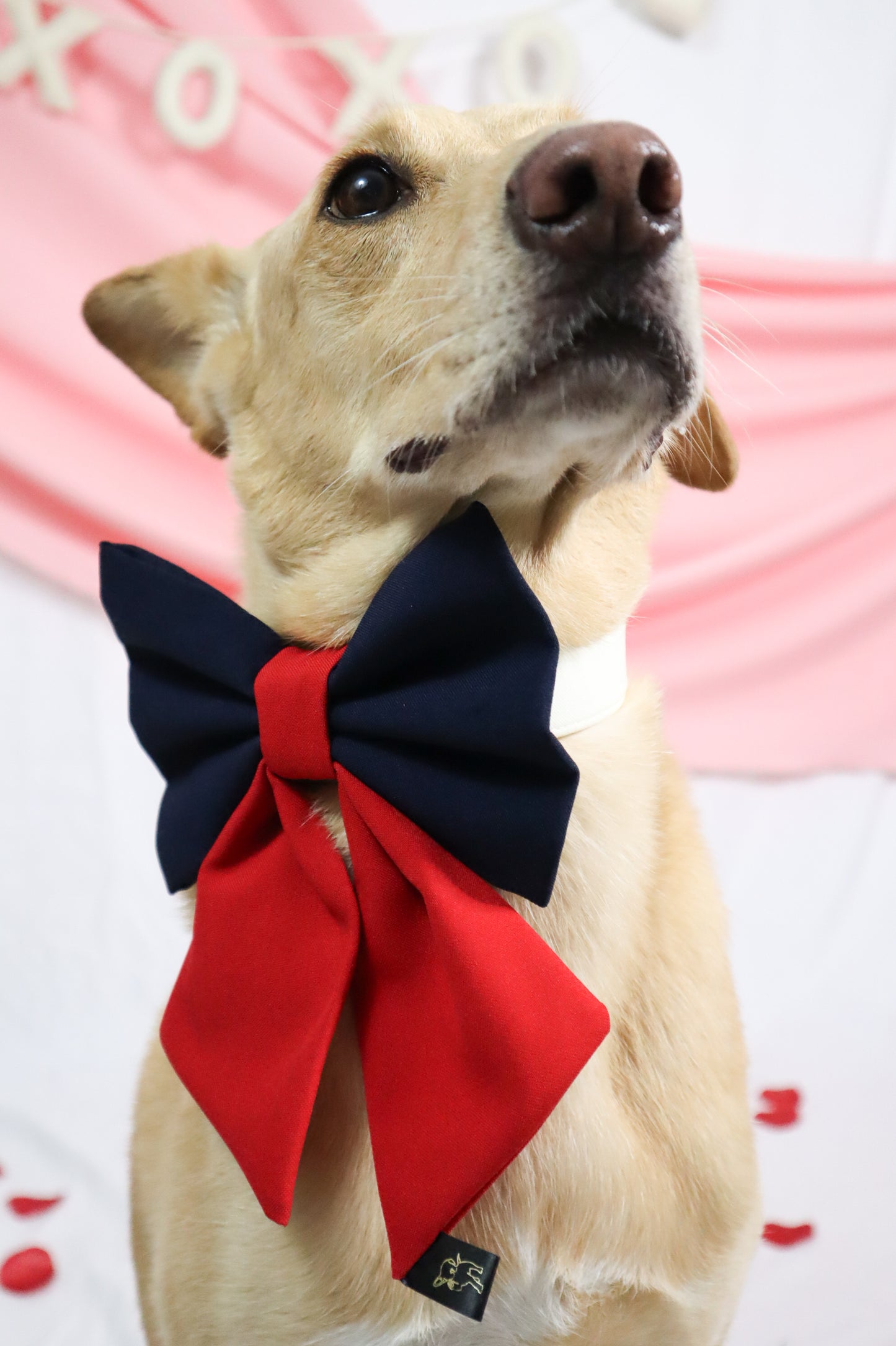 Navy Red Sailor Bow